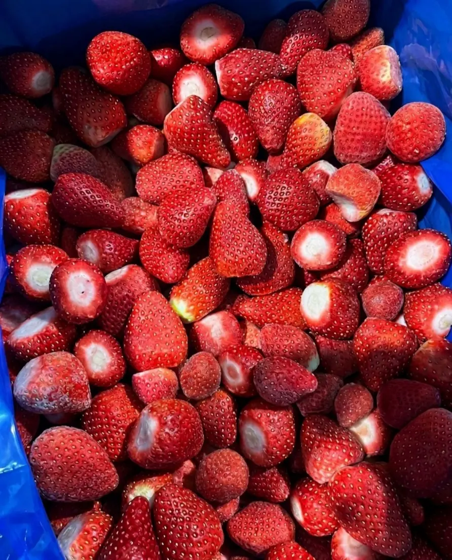 Frozen Strawberry Harvest & Planting Schedule