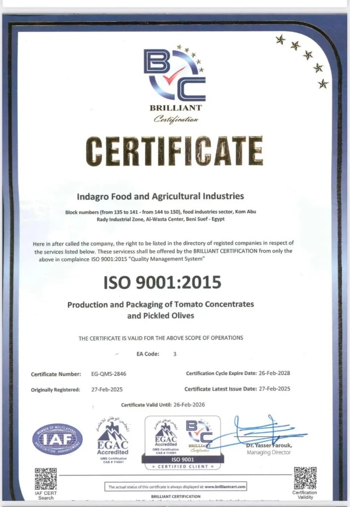 iso 9001iso 9001